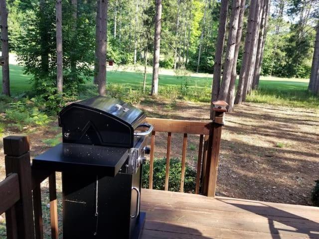 Crystal Mountain Cabin-Shuttle Pass Included! Thompsonville المظهر الخارجي الصورة