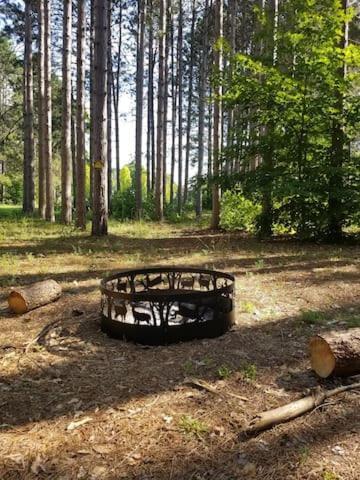 Crystal Mountain Cabin-Shuttle Pass Included! Thompsonville المظهر الخارجي الصورة