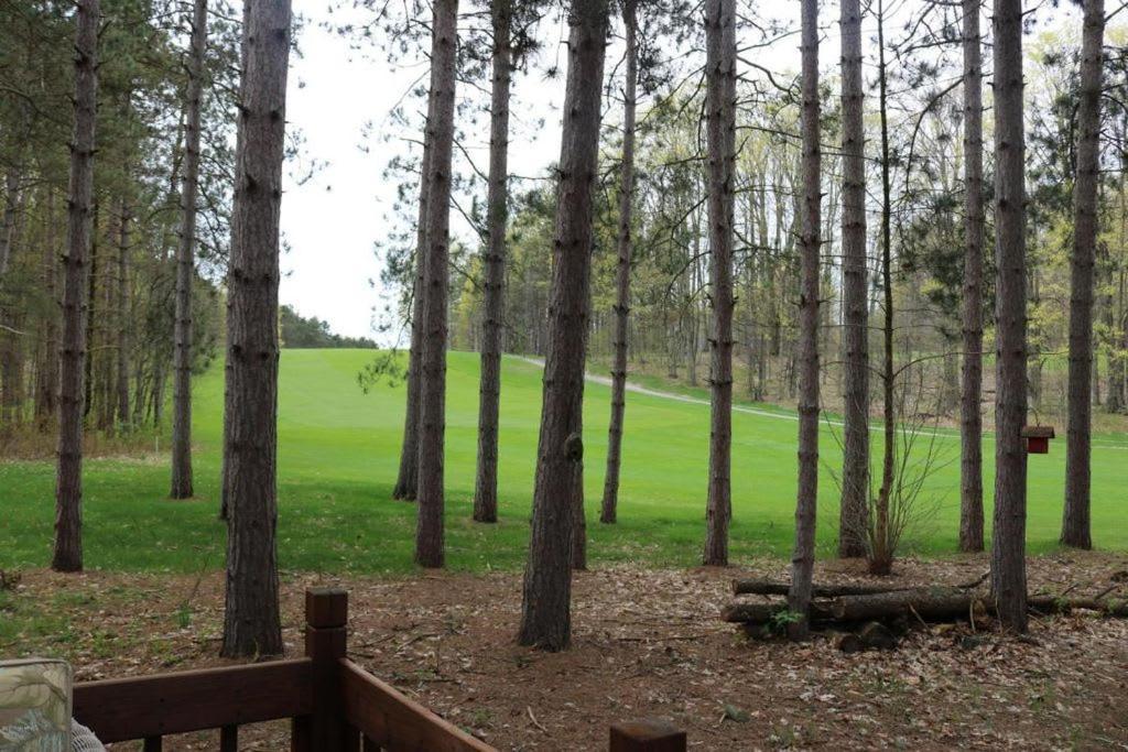 Crystal Mountain Cabin-Shuttle Pass Included! Thompsonville المظهر الخارجي الصورة